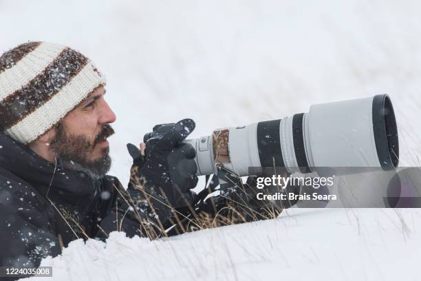 wildlife photographer - reportage foto e immagini stock