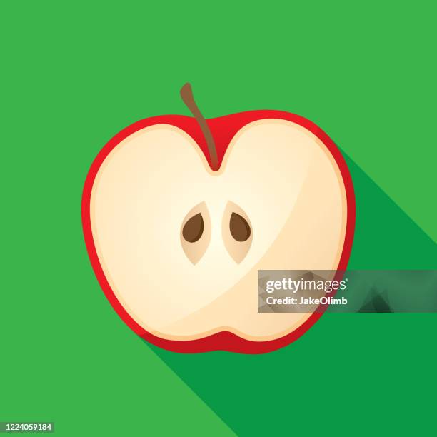 apple cut in half icon flat 2 - half and half concept stock illustrations