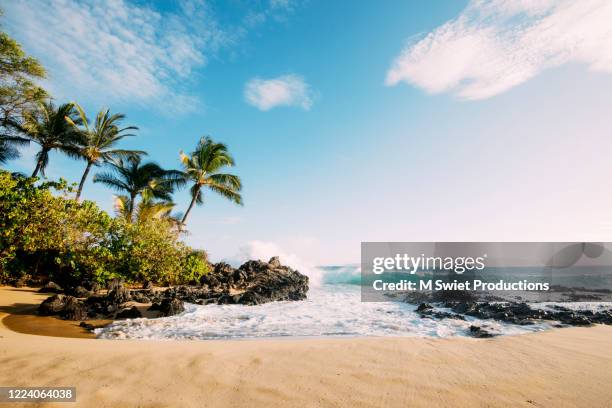 rolling wave hawaii beach - makena maui stock pictures, royalty-free photos & images