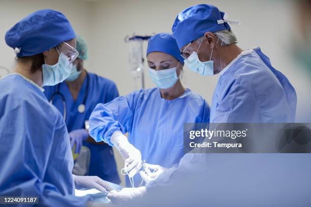 female doctor suturing a patient in the operating room. - suturing stock pictures, royalty-free photos & images