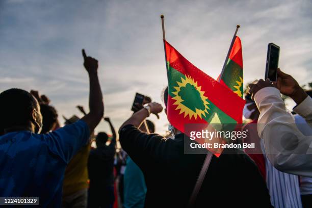 Demonstrator carries flags as members of the Oromo community shutdown the westbound lane of Interstate 94, near Lexington Ave, during a protest after...