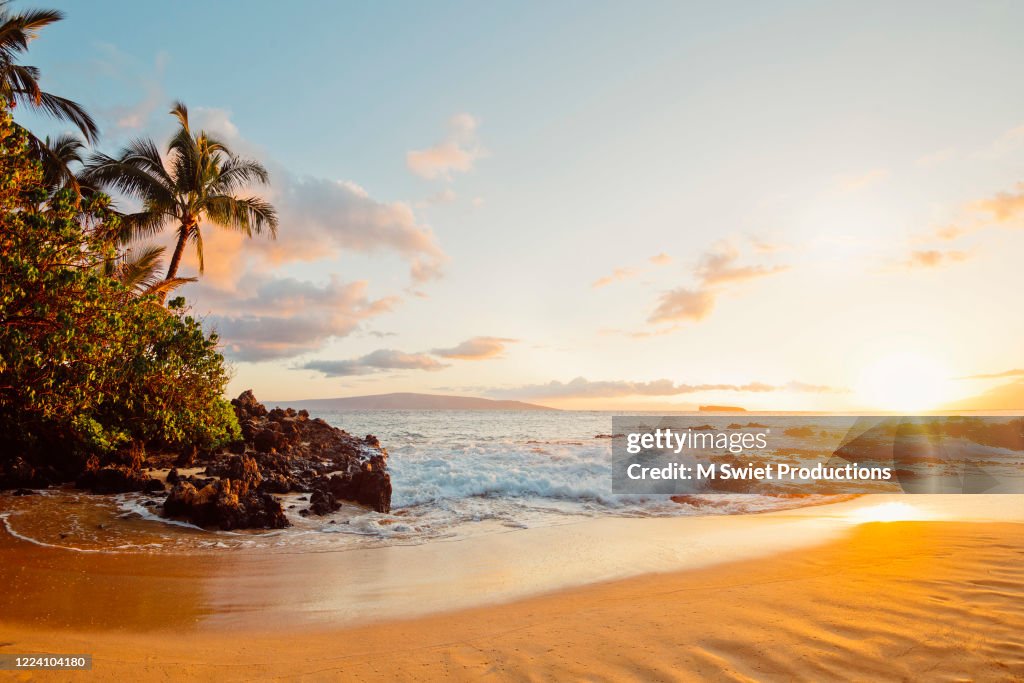 Tropical sunset beach hawaii