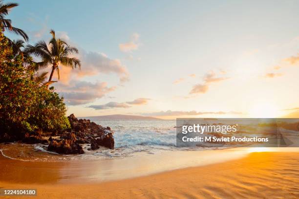 tropical sunset beach hawaii - seascape stockfoto's en -beelden