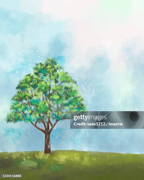 a tree - single tree stock illustrations