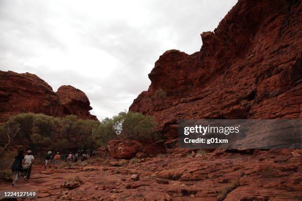 tourists hiking in kings canyon national park outback central australia. - indigenous australia stock pictures, royalty-free photos & images