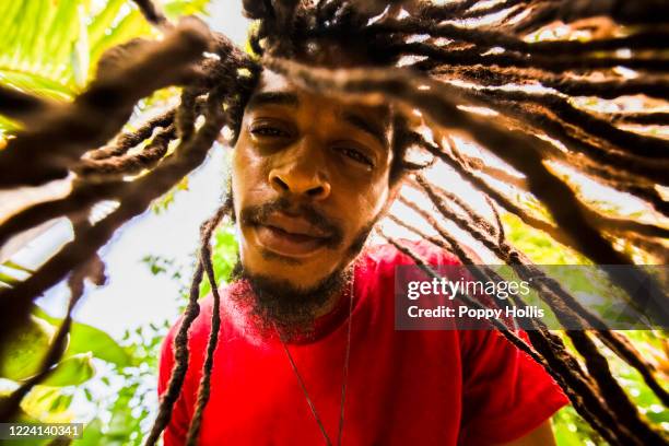 Dred Rasta 334 National Symbols Of Jamaica Stock Photos, High-Res Pictures, and ...