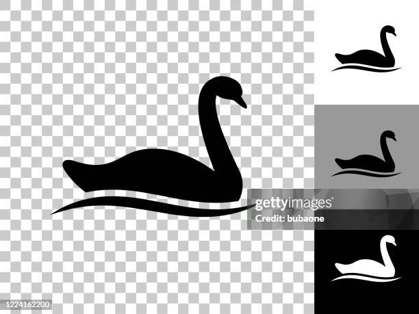 swan icon on checkerboard transparent background - swan stock illustrations