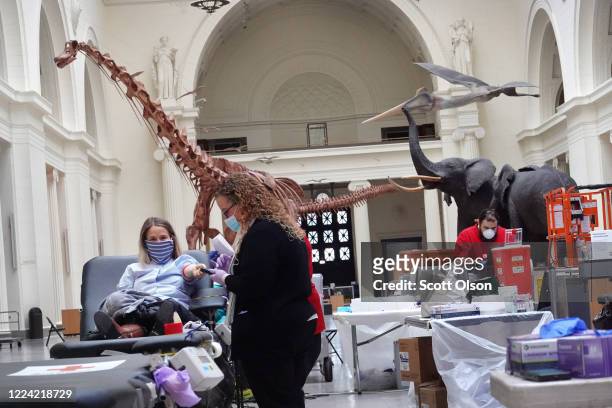 Volunteers donate blood during an American Red Cross blood drive held at the Field Museum of Natural History on May 11, 2020 in Chicago, Illinois. In...