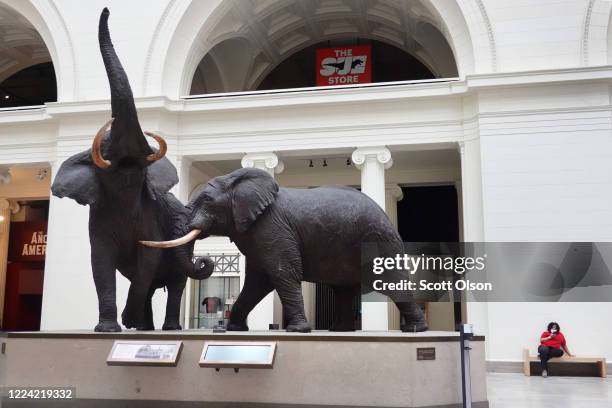 Phlebotomist Claudia O'Connor takes a break while working at an American Red Cross blood drive held at the Field Museum of Natural History on May 11,...