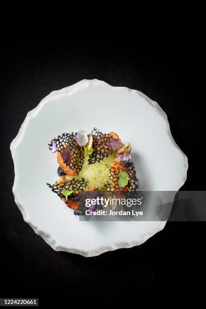 fine dining scallop meal - course meal stock pictures, royalty-free photos & images