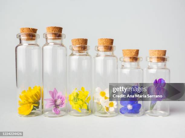 glass pots with flowers. homeopathy and natural medicine concept - bachblüten stock-fotos und bilder