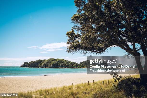 beach in tauranga, new zealand - tauranga stock pictures, royalty-free photos & images