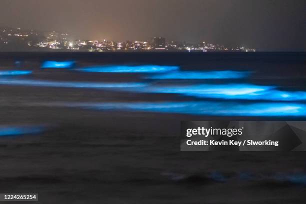 bioluminescent tide glows blue at the beaches in san diego county - bioluminescência imagens e fotografias de stock