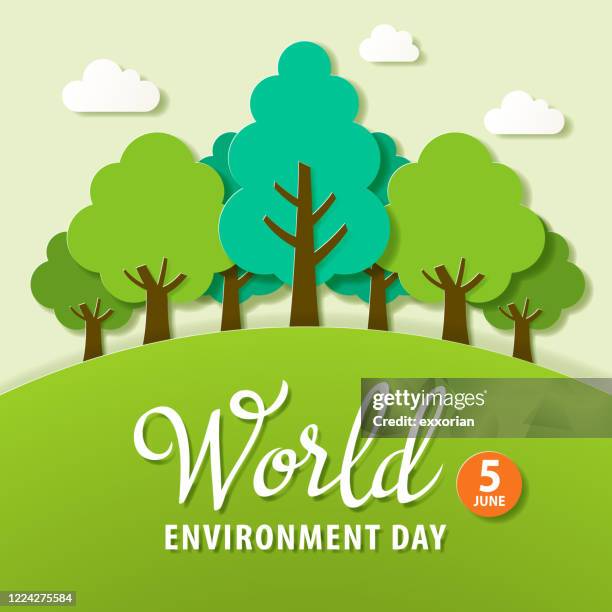 world environment day reforestation - nature reserve stock illustrations