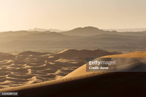 desert sahara with beautiful lines and colors at sunrise. merzouga, morocco - merzouga stockfoto's en -beelden