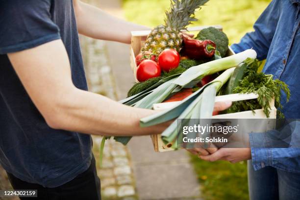 young man handing over box of fresh vegetables to young woman - copenhagen food stock pictures, royalty-free photos & images