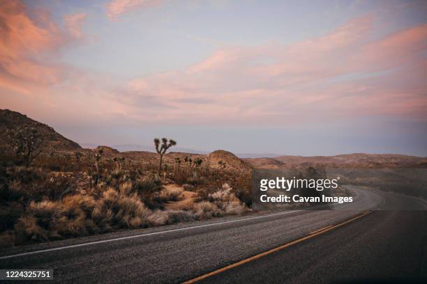 windy road around mojave desert of joshua tree national park at sunset - joshua tree stock pictures, royalty-free photos & images