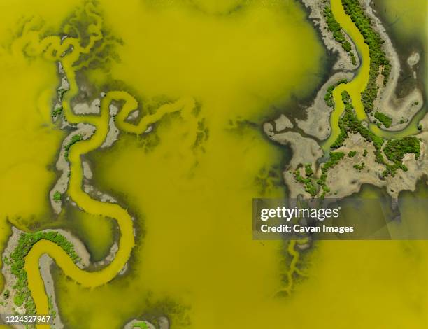 aerial of strange green waterways in sf bay marshland - green bay map stock pictures, royalty-free photos & images