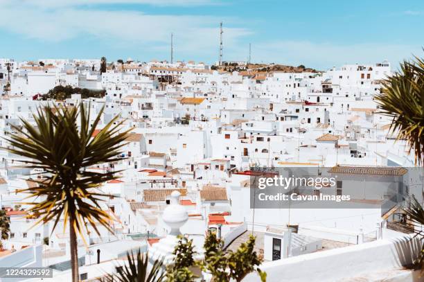 white village against blue sky with yucca trees in southern spain - vejer de la frontera stockfoto's en -beelden