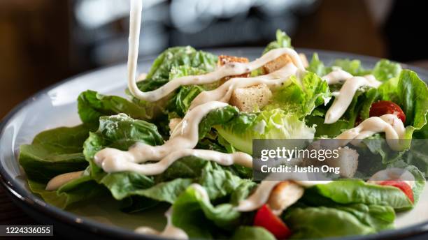 fresh vegetables salad with dressing - salatdressing stock-fotos und bilder