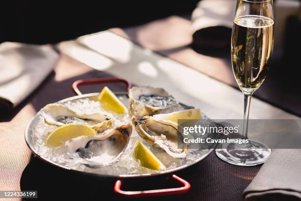 plate with oysters, lemon and ice and a glass of champagne - oysters stock-fotos und bilder