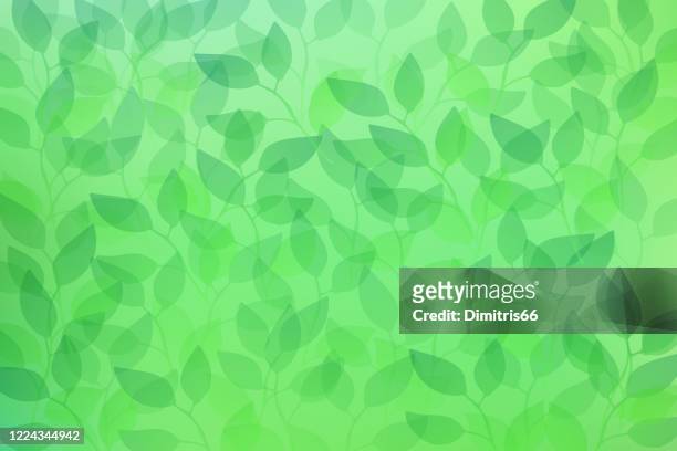 green transparent leaves seamless pattern background - full frame stock illustrations