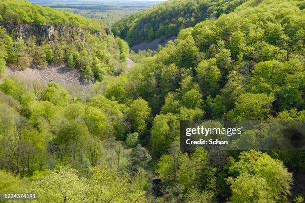 Söderåsen National Park Photos and Premium High Res Pictures - Getty Images