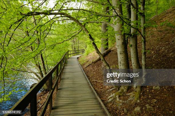 25 Söderåsen National Park Stock Photos, High-Res Pictures, and Images ...