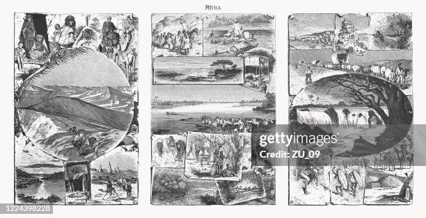 stockillustraties, clipart, cartoons en iconen met impressies van noord-, centraal- en zuid-afrika, houtsneden, gepubliceerd in 1893 - papyrusriet