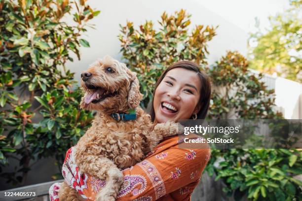 ik hou van jou! - excited dog stockfoto's en -beelden