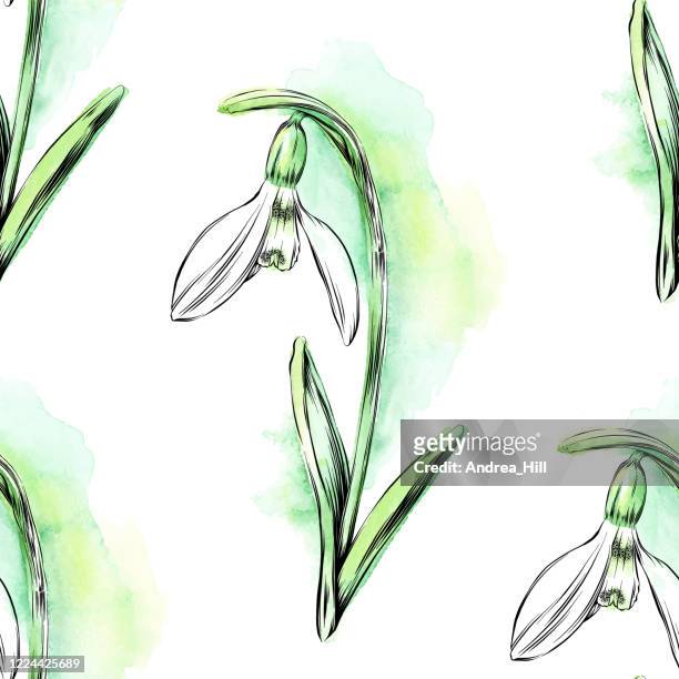 seamless snowdrop flower pattern - watercolor and ink vector eps10 illustration - snowdrop stock illustrations