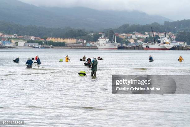 View of the estuary of Arousa with the shellfishermen picking up clams on May 12, 2020 in A Pobra do Caramiñal, Spain. The shellfishermen of A Pobra...