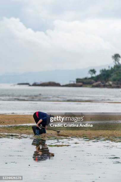 Shellfisherwoman picking up clams in the Ría de Arousa on May 12, 2020 in A Pobra do Caramiñal, Spain. The shellfishermen of A Pobra do Caramiñal...