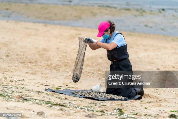 Shellfisherwoman picking up clams in the Ría de Arousa on May 12, 2020 in A Pobra do Caramiñal, Spain. The shellfishermen of A Pobra do Caramiñal...