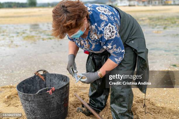 Shellfisherwoman Marisa Calo, wearing a surgical mask, measures a clam to see if it fits on May 12, 2020 in A Pobra do Caramiñal, Spain. The...