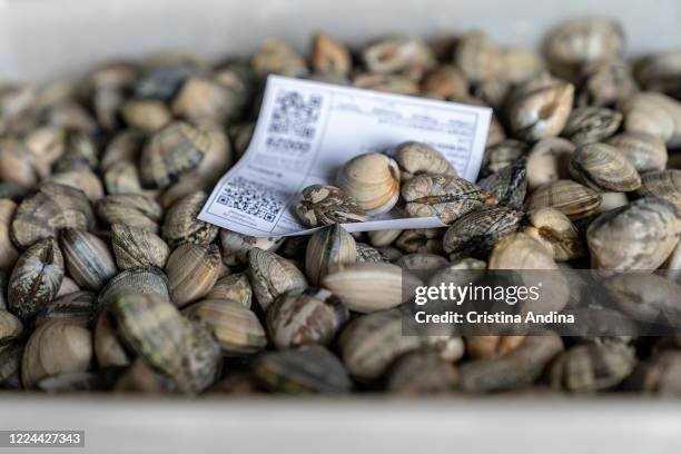 Clam collected by shellfishermen in the boxes at the fish market on May 12, 2020 in A Pobra do Caramiñal, Spain. The shellfishermen of A Pobra do...