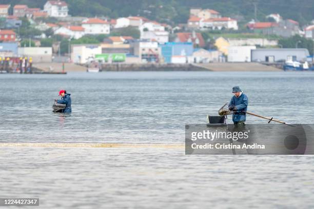 Shellfishermen in the Ría de Arousa on May 12, 2020 in A Pobra do Caramiñal, Spain. The shellfishermen of A Pobra do Caramiñal returned to Arenal...