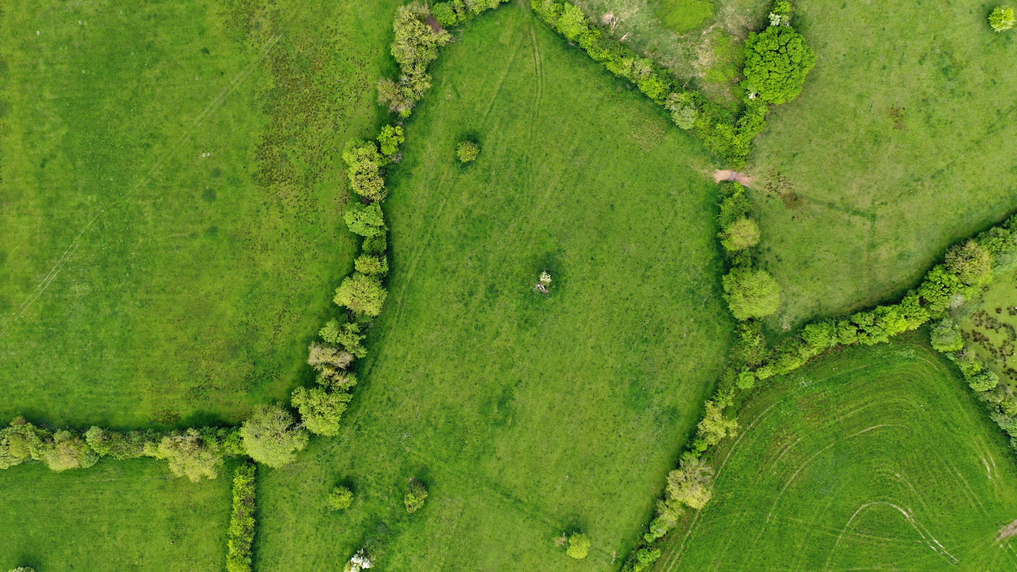 aerial footage editing