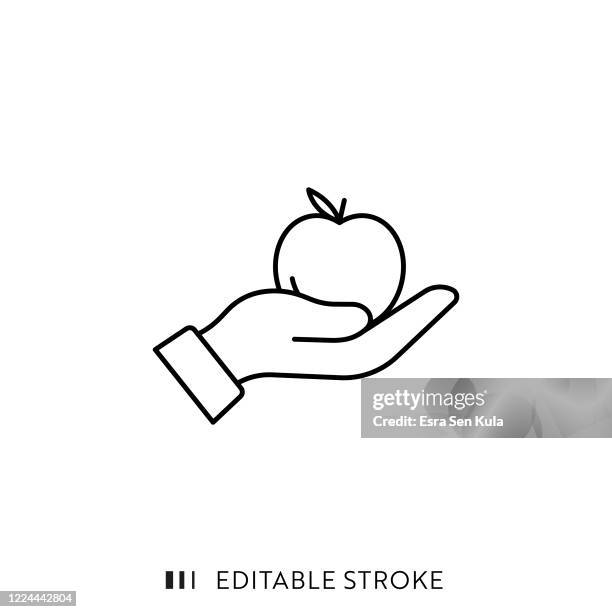knowledge line icon with editable stroke and pixel perfect. - scientist computer stock illustrations