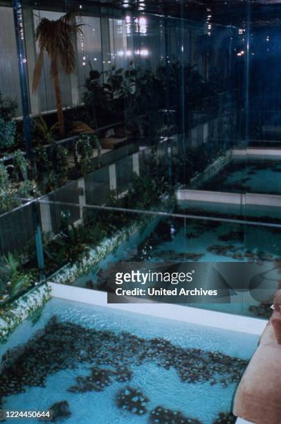 Water oasis at Adnan Khashoggi's office at Olympic Tower in New York, USA 1986.