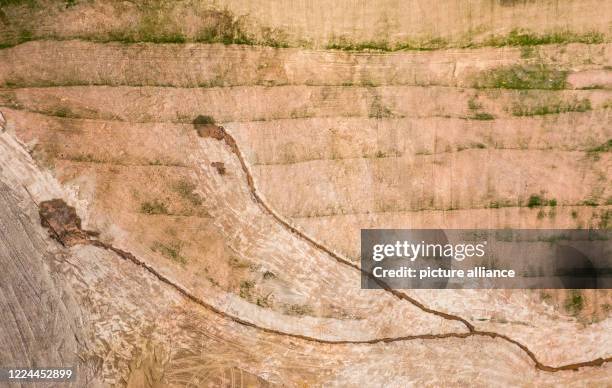 July 2020, Saxony, Bad Schlema: An excavator loads the symbolic last shovel to complete the rehabilitation of waste dump 65, while a truck transports...