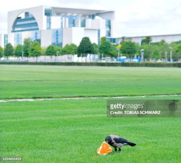 Hooded Crow picks up a toast bread on the meadow between the Reichstag building and the Chancellery , on July 3, 2020 in Berlin.