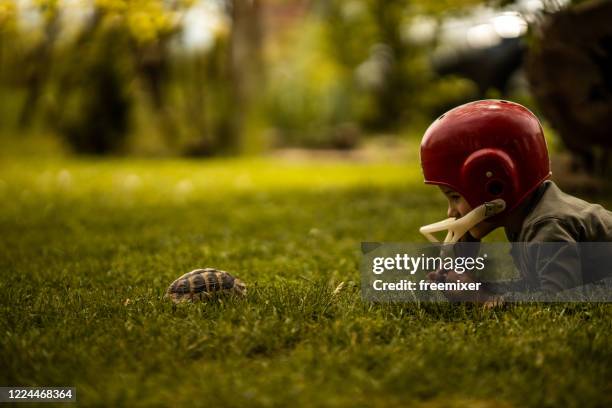 liitle boy wearing rugby helmet and playing with turtle in back yard - toy tortoise stock pictures, royalty-free photos & images