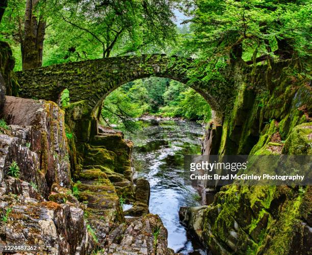 the hermitage rumbling bridge scotland - perthshire stock-fotos und bilder