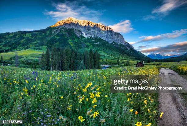 wildflowers and gothic mountain alpenglow - american gothic stock-fotos und bilder