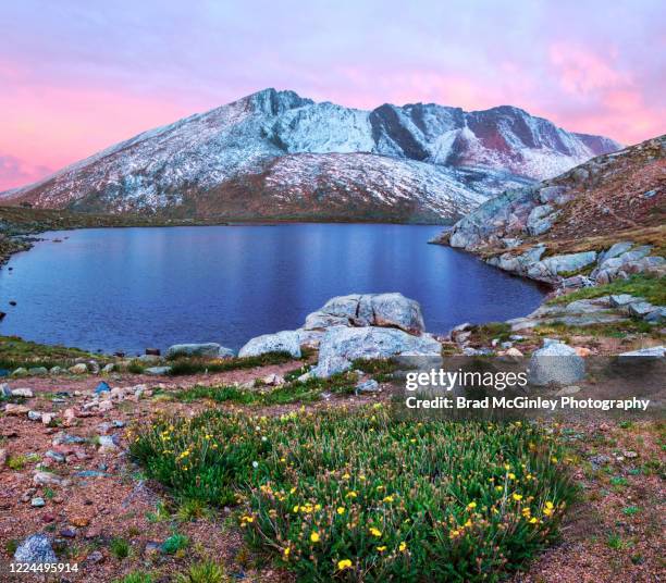 autumn summit lake mount evans wilderness area - mount evans stock pictures, royalty-free photos & images