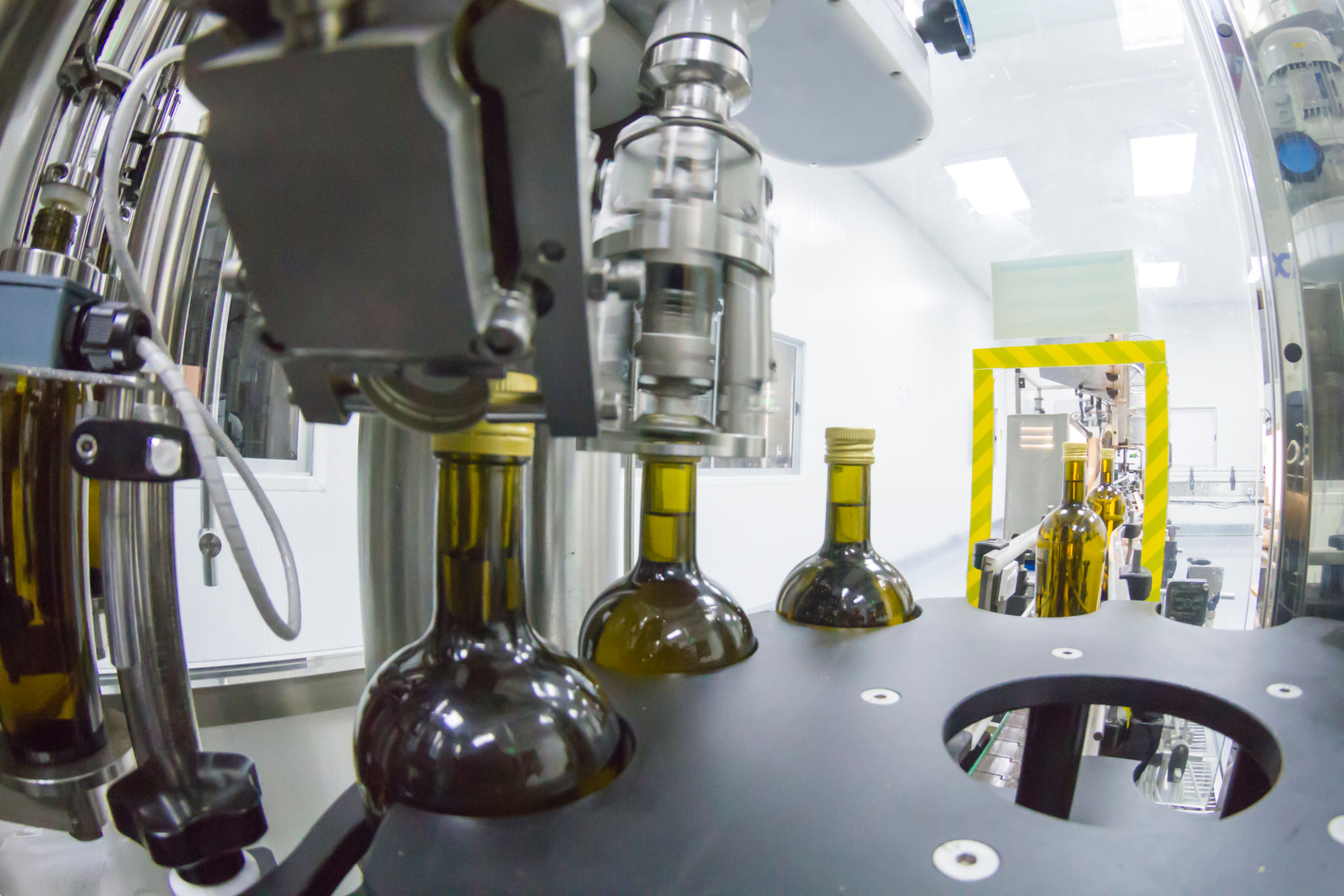 olive oil bottling