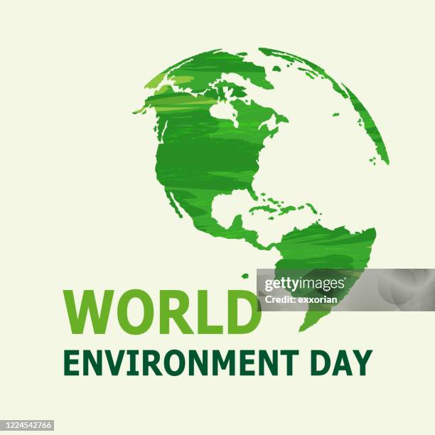 world environment day - nature reserve stock illustrations