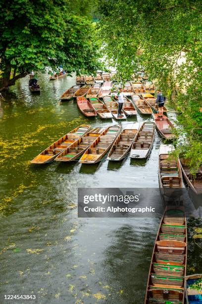 gruppe von punts in oxford festgemacht - punting stock-fotos und bilder