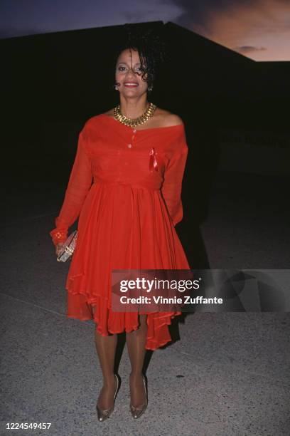 American actress and dancer Debbie Allen attends the 1992 Daytime Emmy Awards, held at the Sheraton New York Hotel in New York City, New York, 23rd...